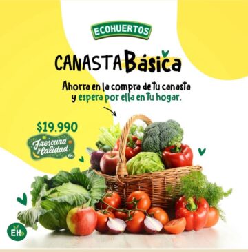 Canasta básica $19.990