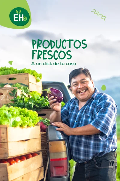 Frutas y verduras frescas de Ecohuertos